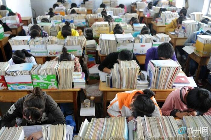 实践导向培训课程打造职